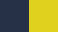 Navy/Gold